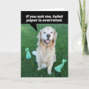 Search for humour get well cards Humor