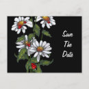 Search for ladybug save the dates Black