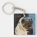 Search for sea lion keychains Animals