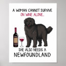 Search for newfoundland puppy posters Animal