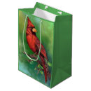 Recherche de ornithologie Cardinal