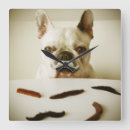 Recherche de moustache chambre enfant décorations Humour