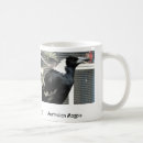 Search for magpies mugs Wildlife