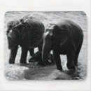 Search for forest elephants mousepads Wildlife