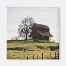 Search for fall magnets Photograph