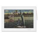 Recherche de marsouin cartes postales Vue