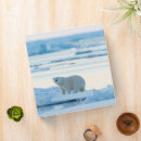 Search for arctic binders Winter