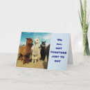 Search for fabulous friend birthday cards Photography