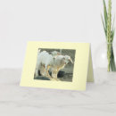 Search for pygmy goat postcards Funny