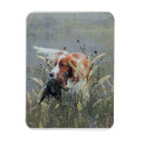 Recherche de breton magnets Espagne