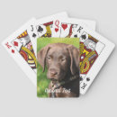 Recherche de chocolat jeux de cartes Animal