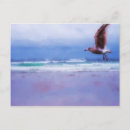 Recherche de oiseau mer cartes postales Crâne