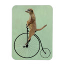 Search for meerkat magnets Flower leaves