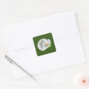 Search for lilly stickers Calla lily