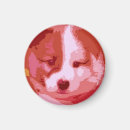 Search for rot magnets Red