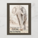 Recherche de chobe cartes postales Tronc