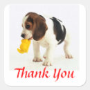 Search for beagle puppy stickers Puppies