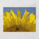 Recherche de bourgeon cartes postales Pour elle