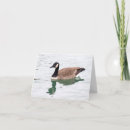 Search for canadian wildlife cards Birds