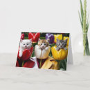 Search for pretty kitty cards Flowers