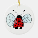 Search for ladybird ornaments Insect