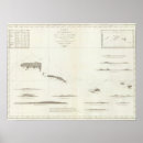 Search for samoans posters Engraved