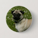 Search for playing dog buttons Carlin