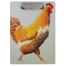 Recherche de poulet porte blocs Animal