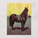 Search for war vertical postcards Vintage
