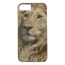 Search for leo lion iphone cases Wildlife