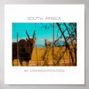 Recherche de antilopes posters Afrique