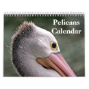 Search for pelican calendars Nature
