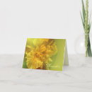 Recherche de planes orange vœux cartes Floral