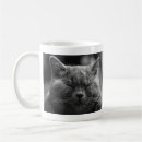 Search for gray cat mugs Napping