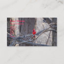 Recherche de oiseau cardinal cartes visite Oiseaux