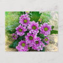 Search for autumn flowers birthday cards Pink
