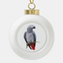 Search for parrot ornaments Exotic