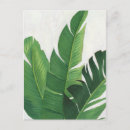 Recherche de plante verte cartes postales Feuille