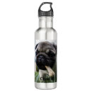 Search for pug water bottles Animal