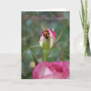 Recherche de scarabées vœux cartes Coccinelle