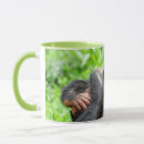 Search for chimpanzee mugs Primate