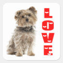 Search for yorkie dad Cute
