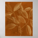 Recherche de fleur moderne posters Floral