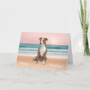Search for pitbull birthday cards Animal