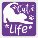 Search for stretching stickers Cat