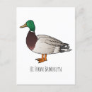 Search for new zealand illustration postcards Bird