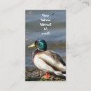 Search for nature postage Photography