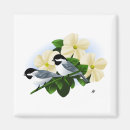 Search for chickadees magnets Animals