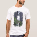 Search for norte tshirts California