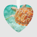 Search for turtle heart ornaments Ocean